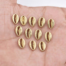 Raw Brass Sea Shell Charms - 11mm