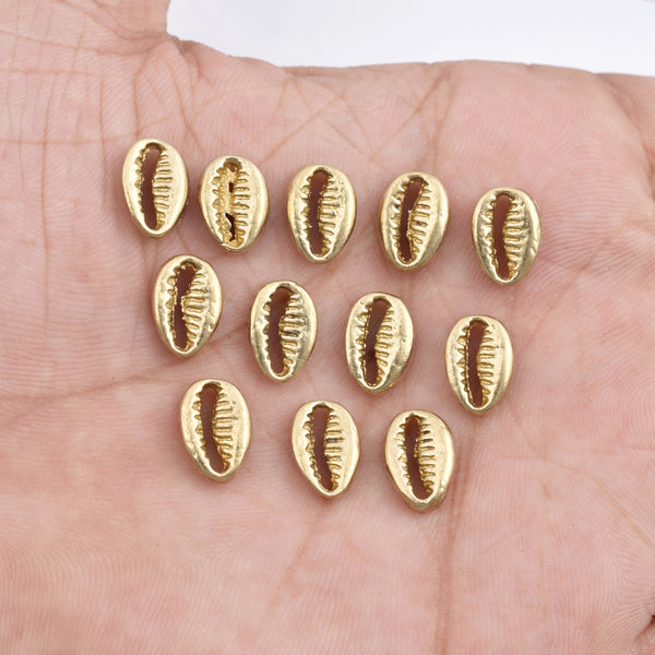 Raw Brass Sea Shell Charms - 11mm