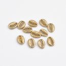 Raw Brass Sea Shell Charms - 11mm